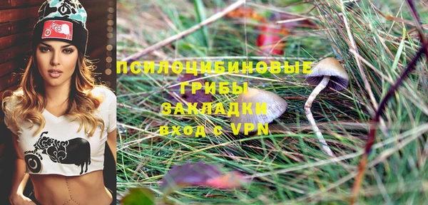дживик Тайга