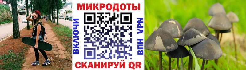 Псилоцибиновые грибы Magic Shrooms  Екатеринбург 